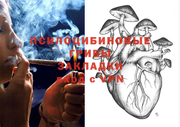МДПВ Алзамай
