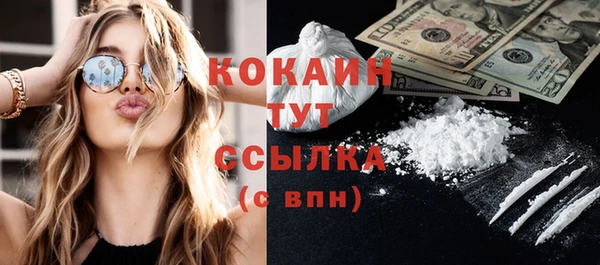 индика Нея